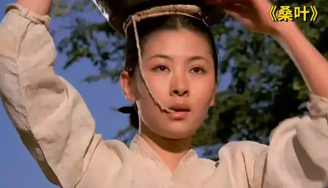 《桑叶》