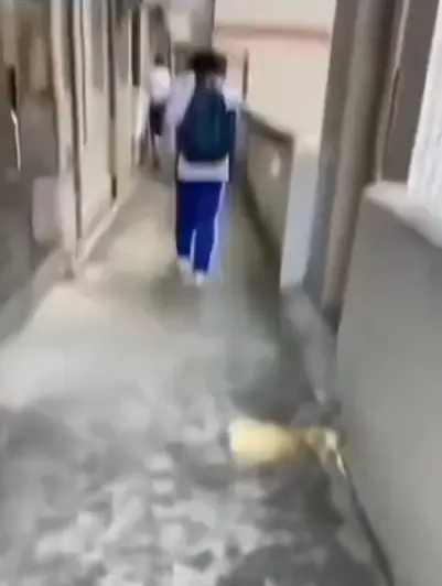 《大昌市第七中学》<br />
《大昌七中女鬼事件》