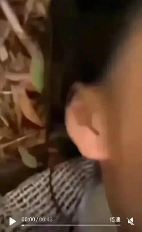 《女轻奢事件相关视频》